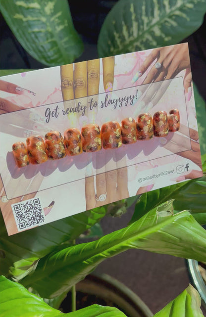 Shellebrity Ready to Ship