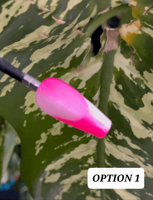 Acrylic Press on Nails Custom Press on Nails