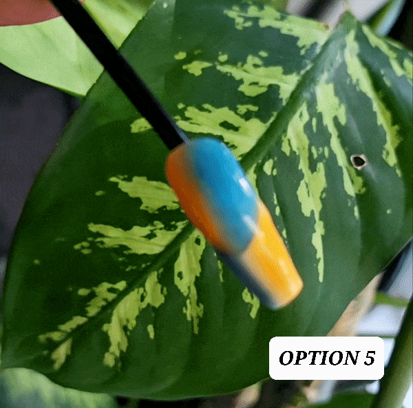 Acrylic Press on Nails Custom Press on Nails