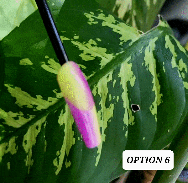 Acrylic Press on Nails Custom Press on Nails